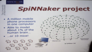 SpiNNaker project